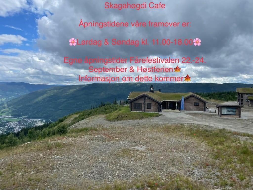 Perfect Moutain Getaway! Beautiful At Skagahogdi With Panoramic View * Gol